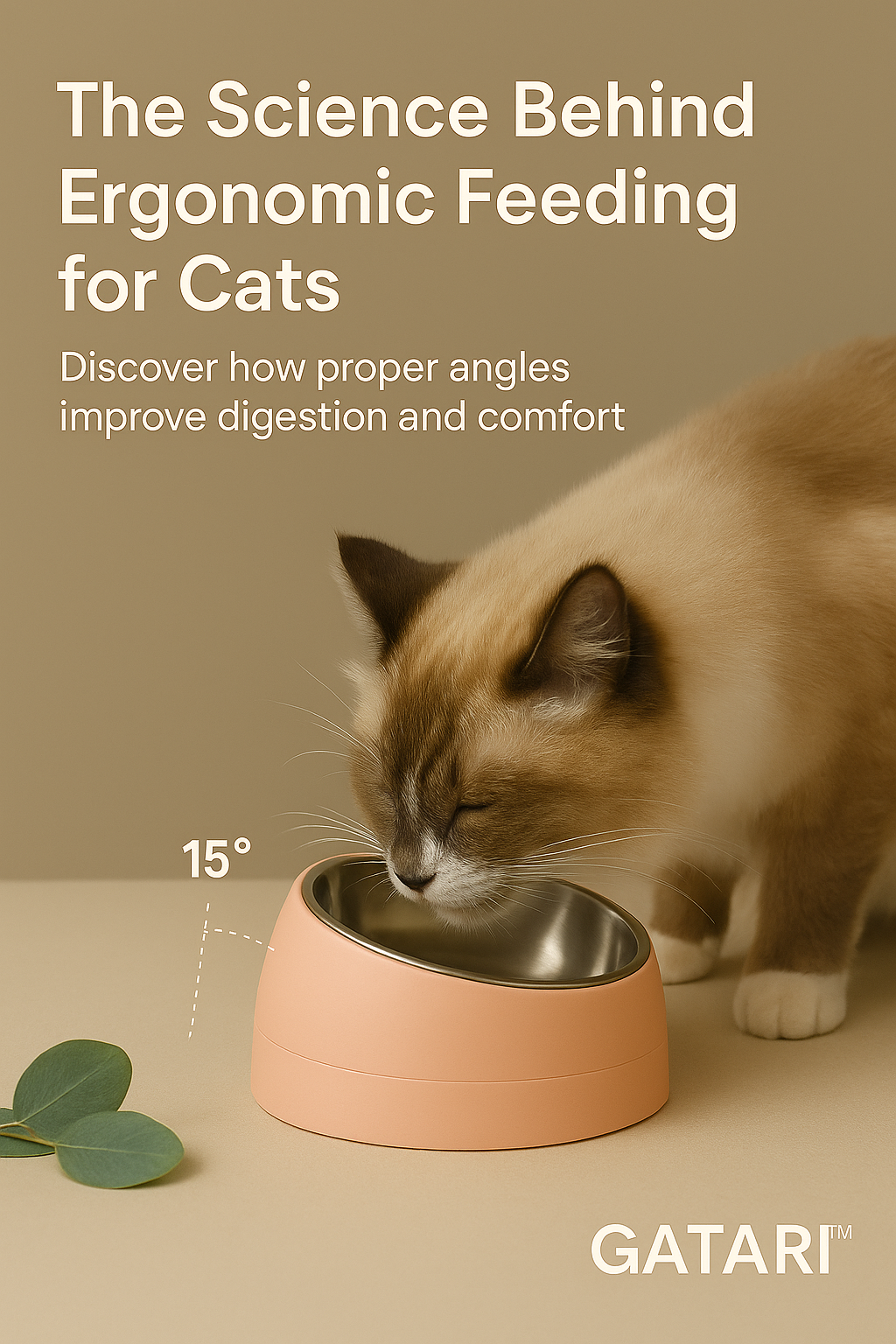 The Science Behind Ergonomic Feeding for Cats