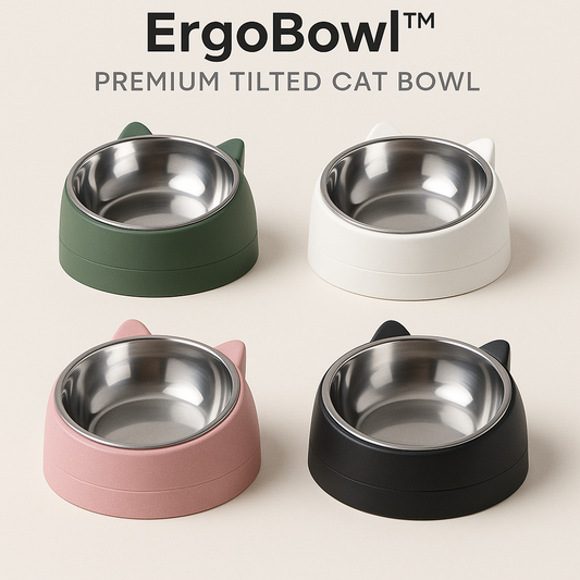 ErgoBowl™ Premium Tilted Cat Bowl