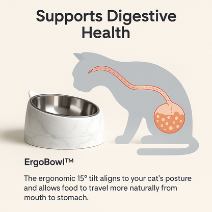 ErgoBowl™ Premium Tilted Cat Bowl